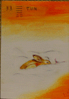 33.gif (175963 byte)
