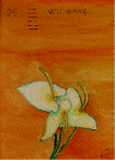 25.gif (121753 byte)