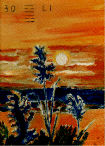 30.gif (131956 byte)